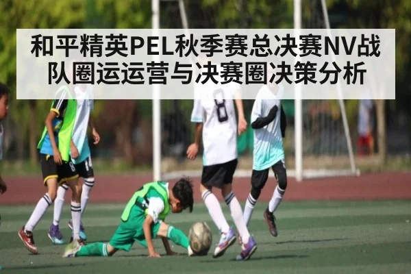 和平精英PEL秋季赛总决赛NV战队圈运运营与决赛圈决策分析（kaiyun）